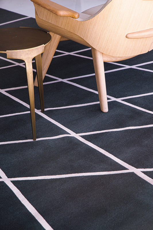 Modern Rug Image 13820 Walk This Way by Liesel Plambeck