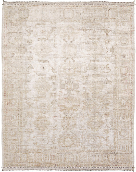 Ledebourii, Domicile Collection