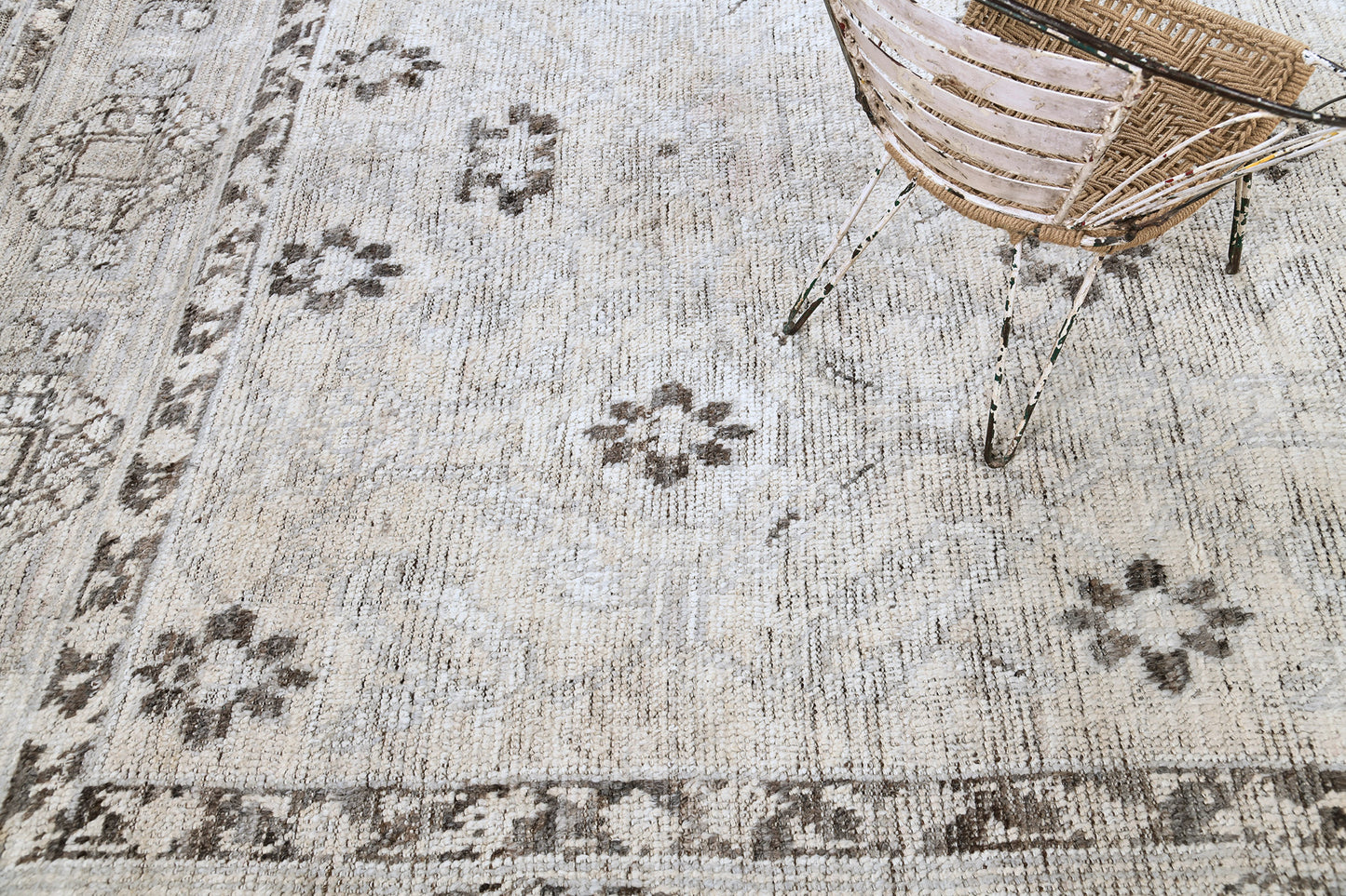 Dorna, Domicile Collection