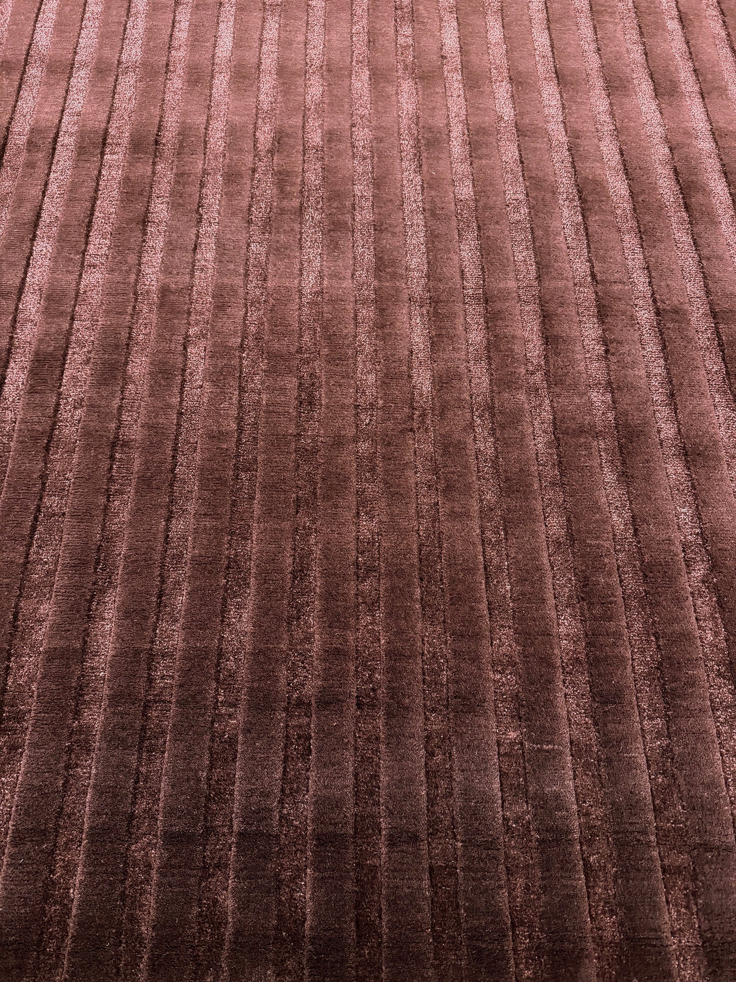 Archi, Claudia Afshar, Plum