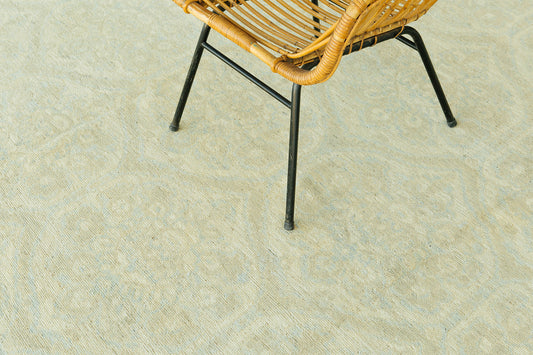 Vintage Style Transitional Design Rug D5157