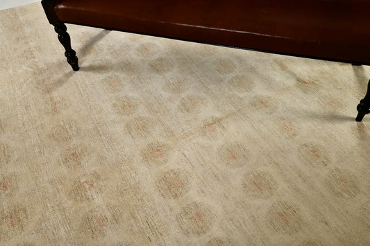 Vintage Style Rapture Collection Transitional Design Rug