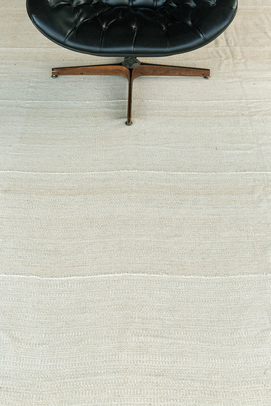 Persian Rug 2779 Persian Flat Weave Jejim Kilim 26950