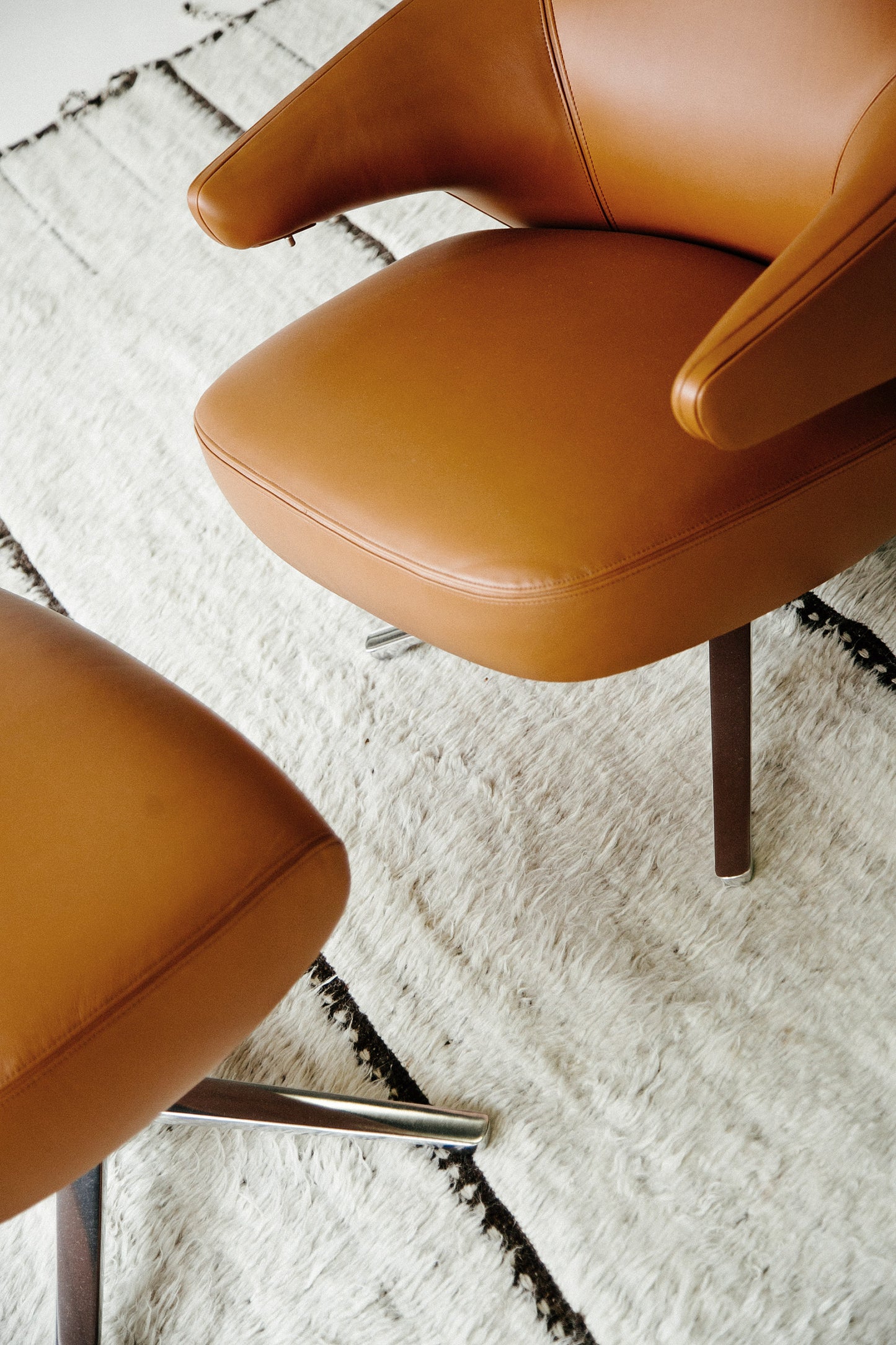 Modern Rug Image 13911 Westerlies, Haute Bohemian