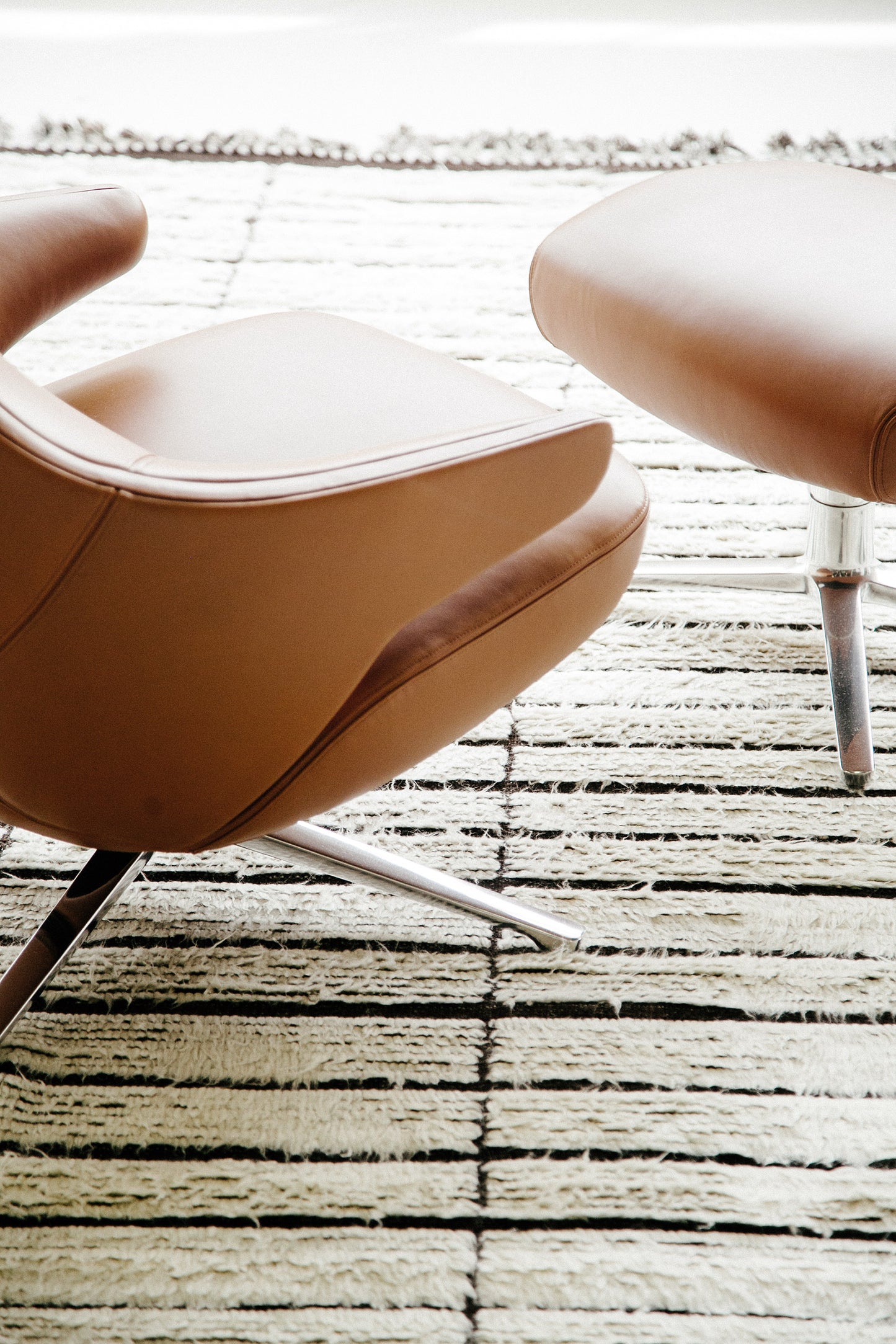 Modern Rug Image 9343 Pommie, Haute Bohemian