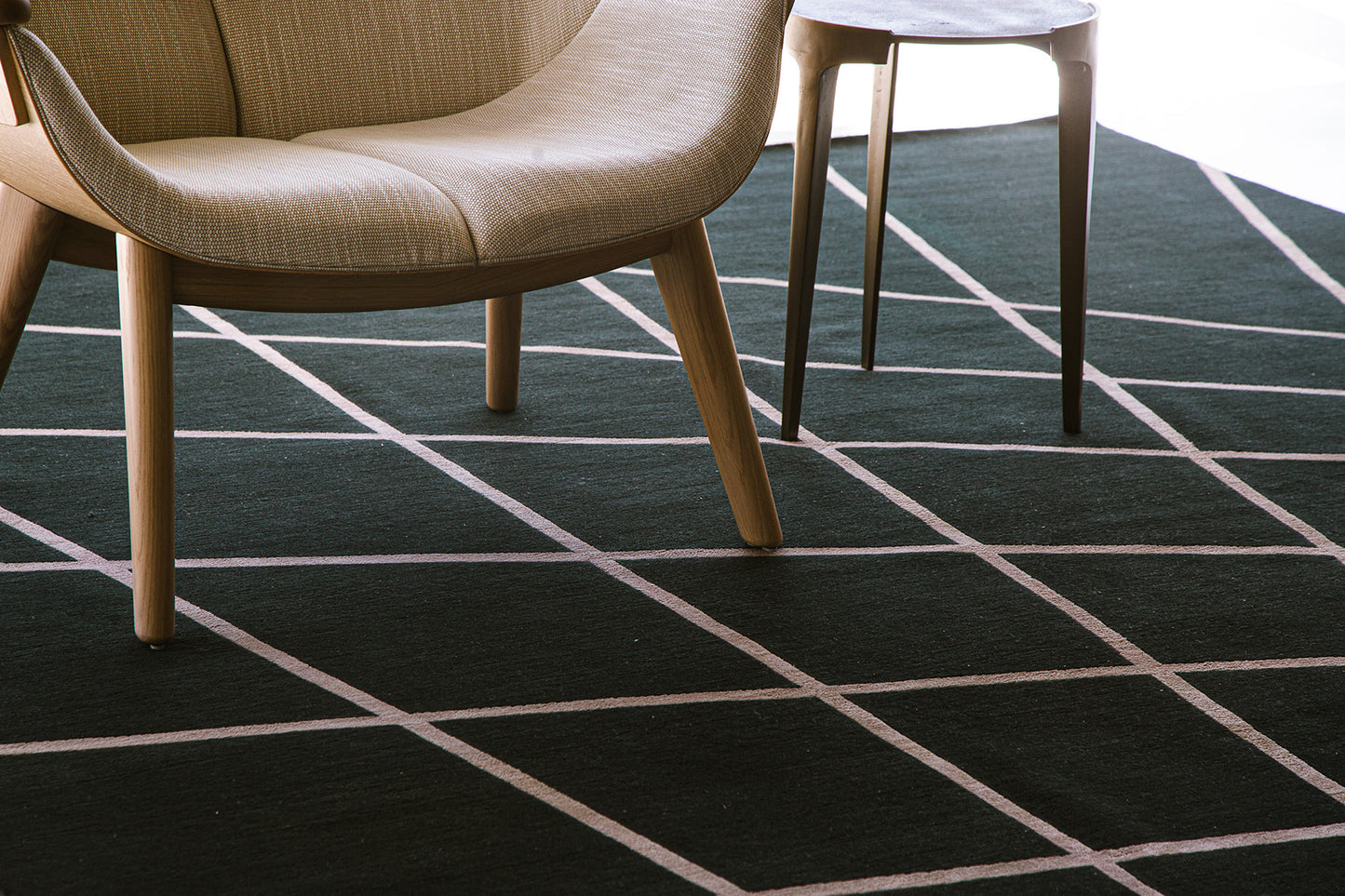 Modern Rug Image 13836 Walk This Way by Liesel Plambeck