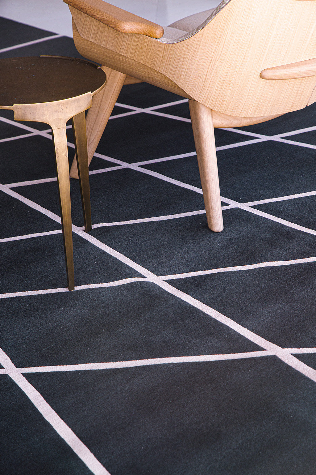 Modern Rug Image 13837 Walk This Way by Liesel Plambeck