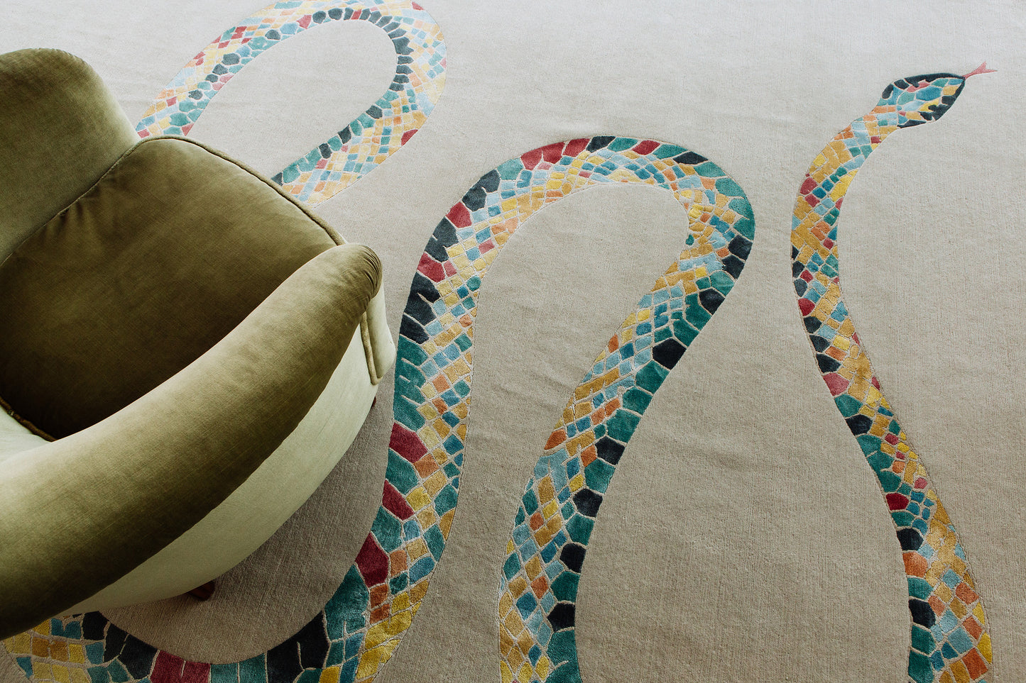 Year of the Snake by Liesel Plambeck