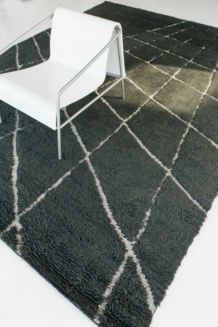 Modern Rug Image 13830 Walk this Way by Liesel Plambeck