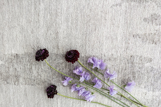 Modern Rug Image 14084 Yonaki, Yokai Collection