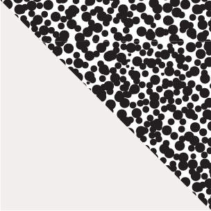 1.Ivory Black Speckle