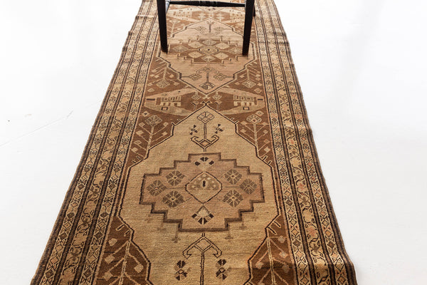 Persian Rug 1635 Antique Persian Malayer Runner 12695
