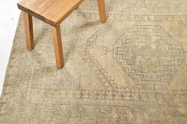Vintage Turkish Anatolian Rug - hand-knotted in Turkey - detailed border and fringe [#7]