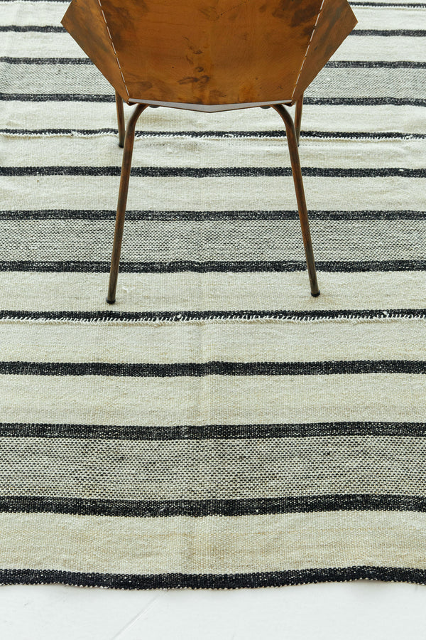 Persian Flat Weave Jejim Kilim 27041 - flat-weave kilim - detailed border and fringe