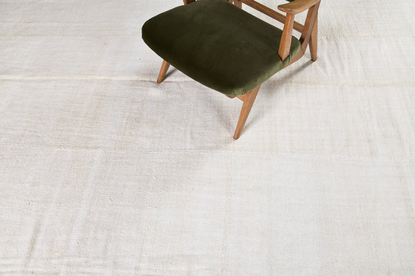 Vintage Anatolian Turkish Flat Weave Kilim - flat-weave kilim, hand-knotted in Turkey - detailed border and fringe [#7]