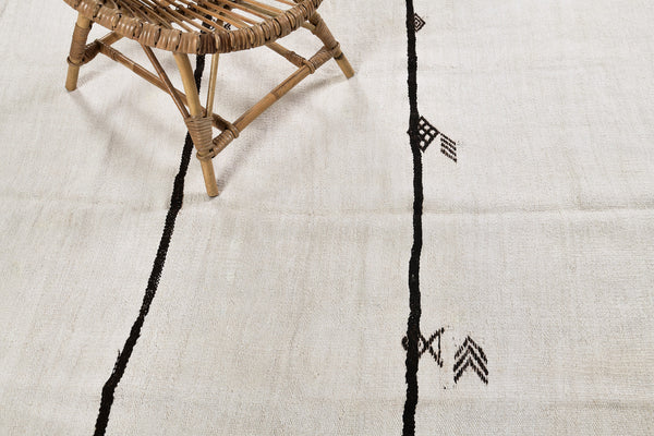 Vintage Anatolian Turkish Flat Weave Kilim - flat-weave kilim, hand-knotted in Turkey - detailed border and fringe [#3]