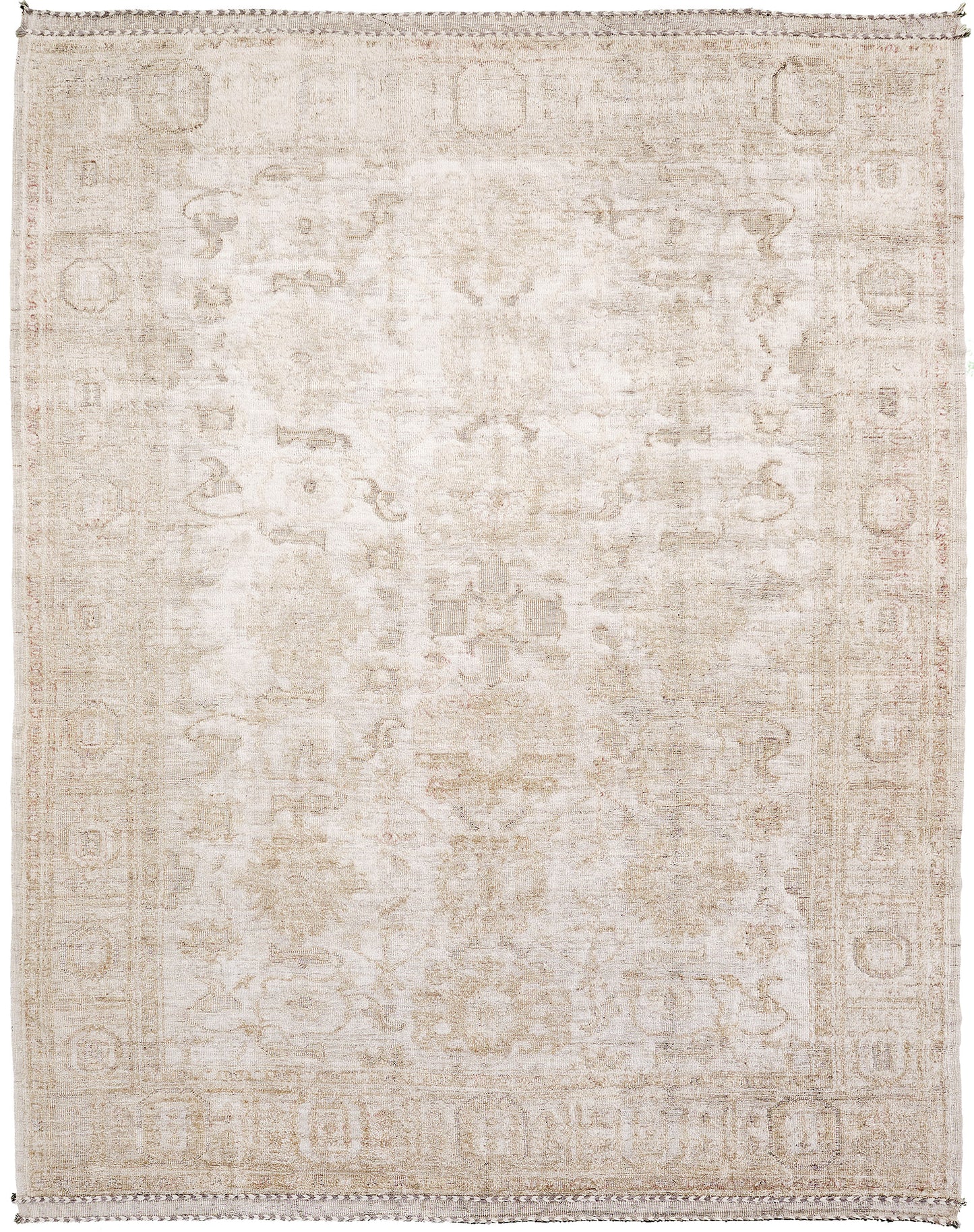 Ledebourii, Domicile Collection