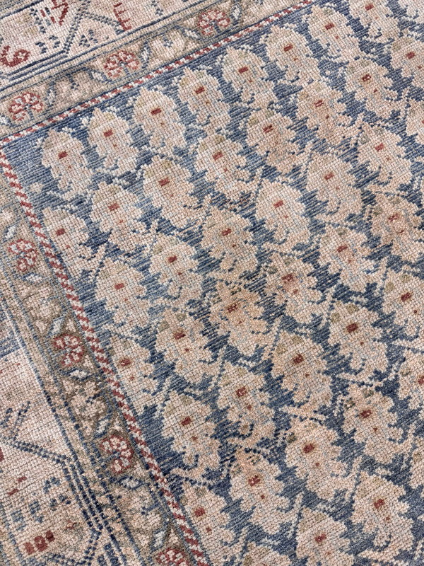 Antique Persian Malayer - detailed border and fringe [#3]