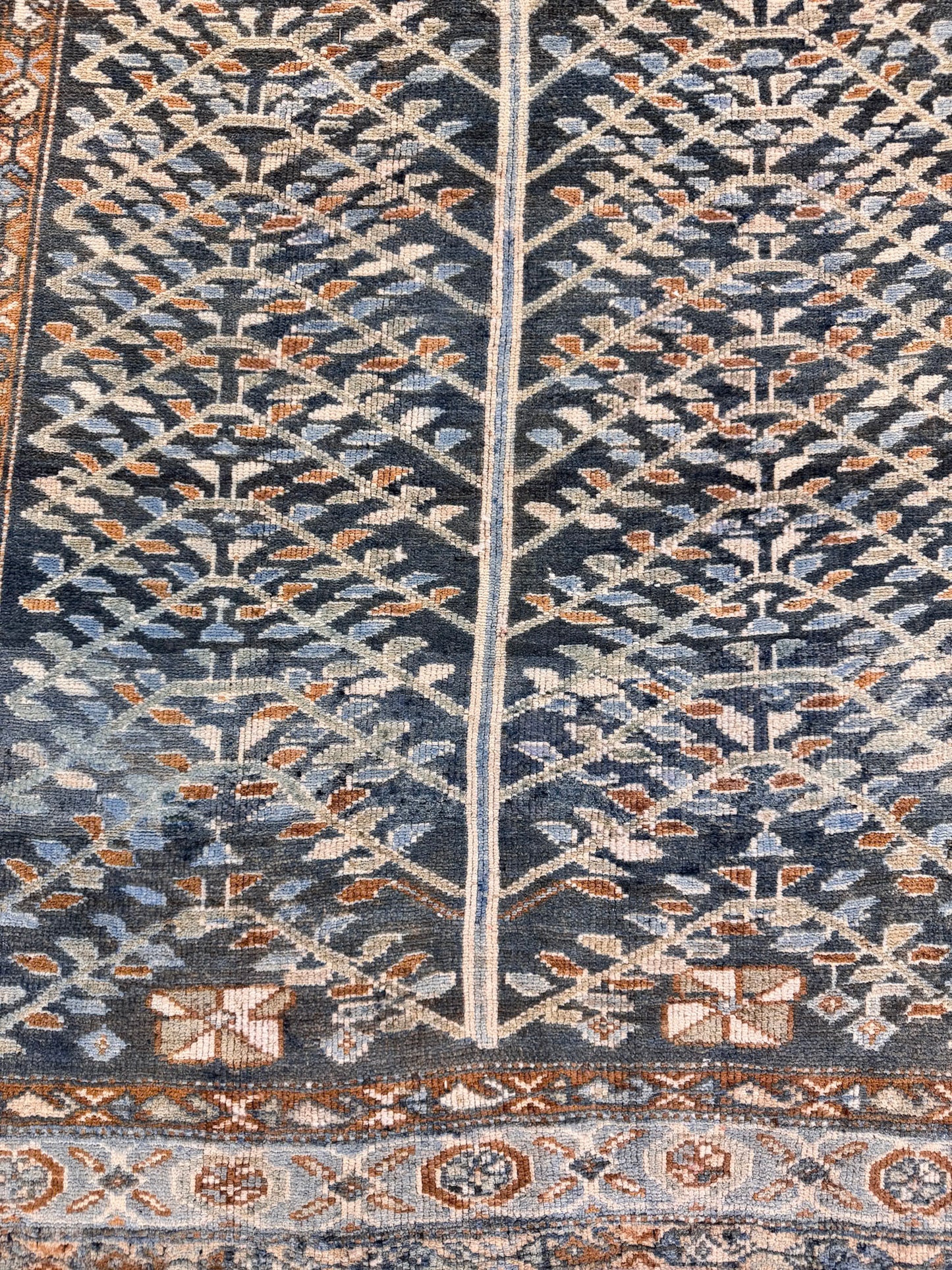 Antique Persian Malayer