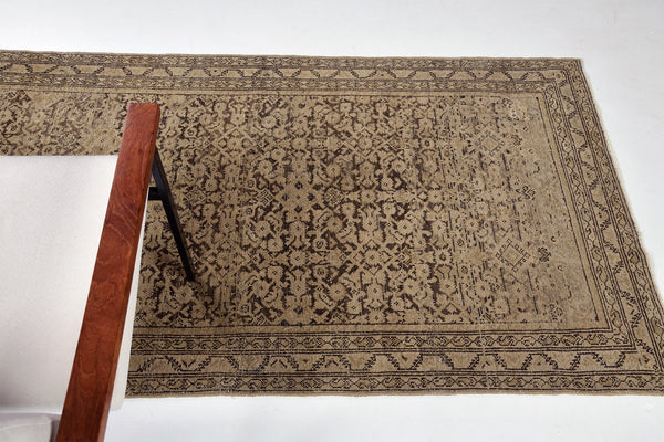 Antique Persian Malayer Runner - narrow runner - detailed border and fringe [#7]