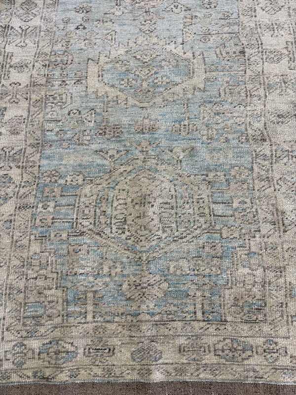 Bidjar Runner, Domicile Collection