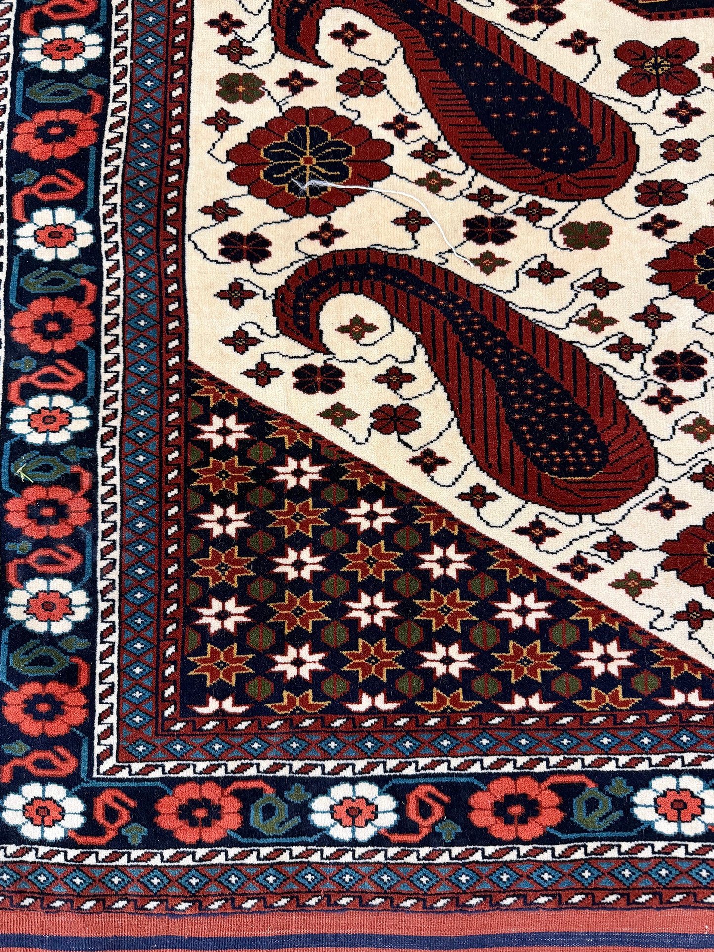 Vintage Persian Ghochan - detailed border and fringe [#1]