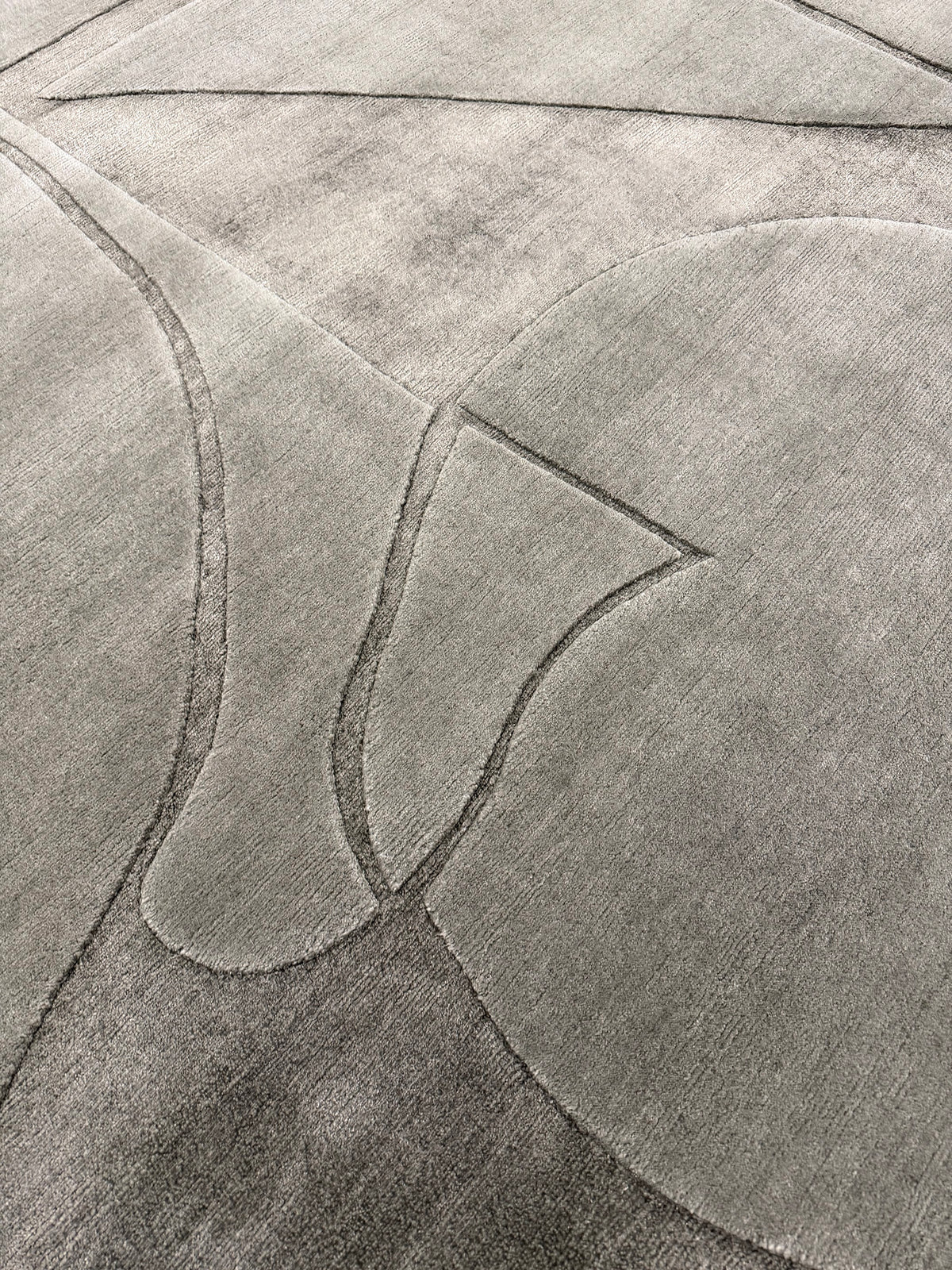 Contour by Claudia Afshar, Juniper