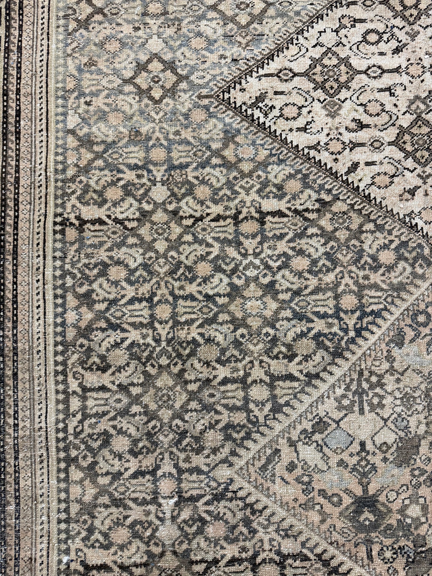 Antique Persian Malayer - detailed border and fringe [#21]