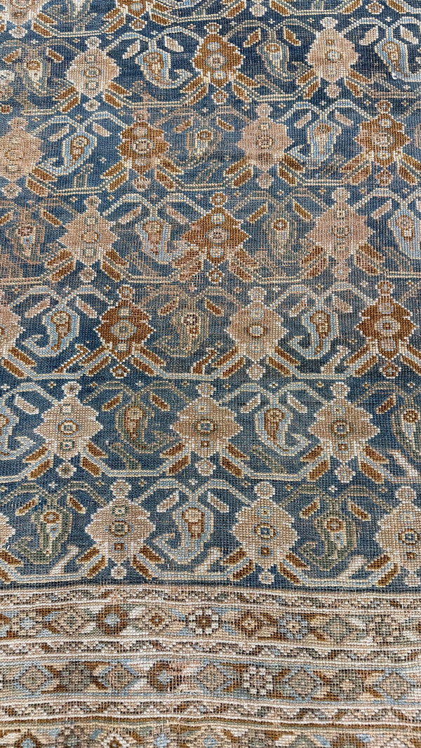 Antique Caucasian