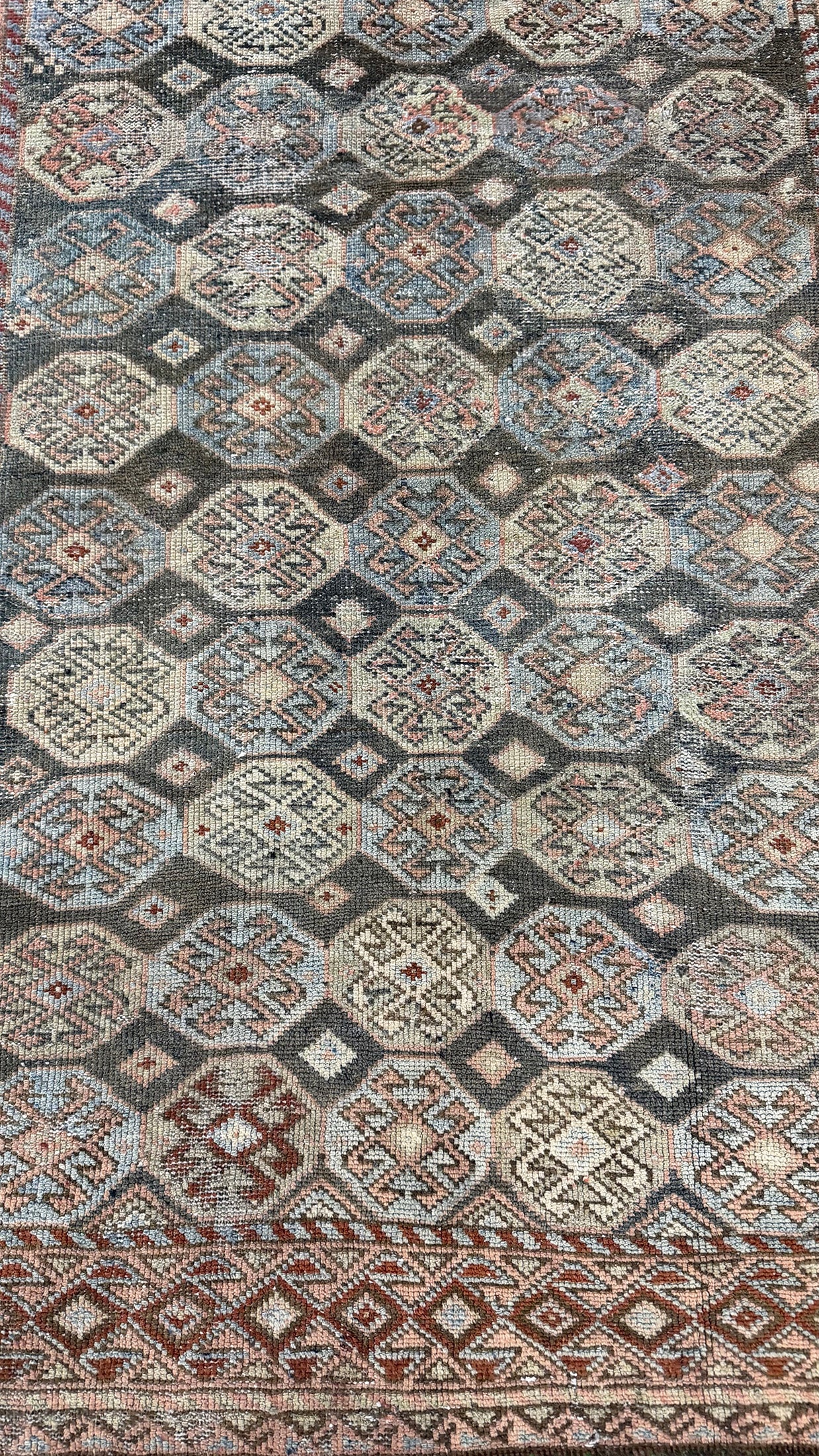 Antique Caucasian