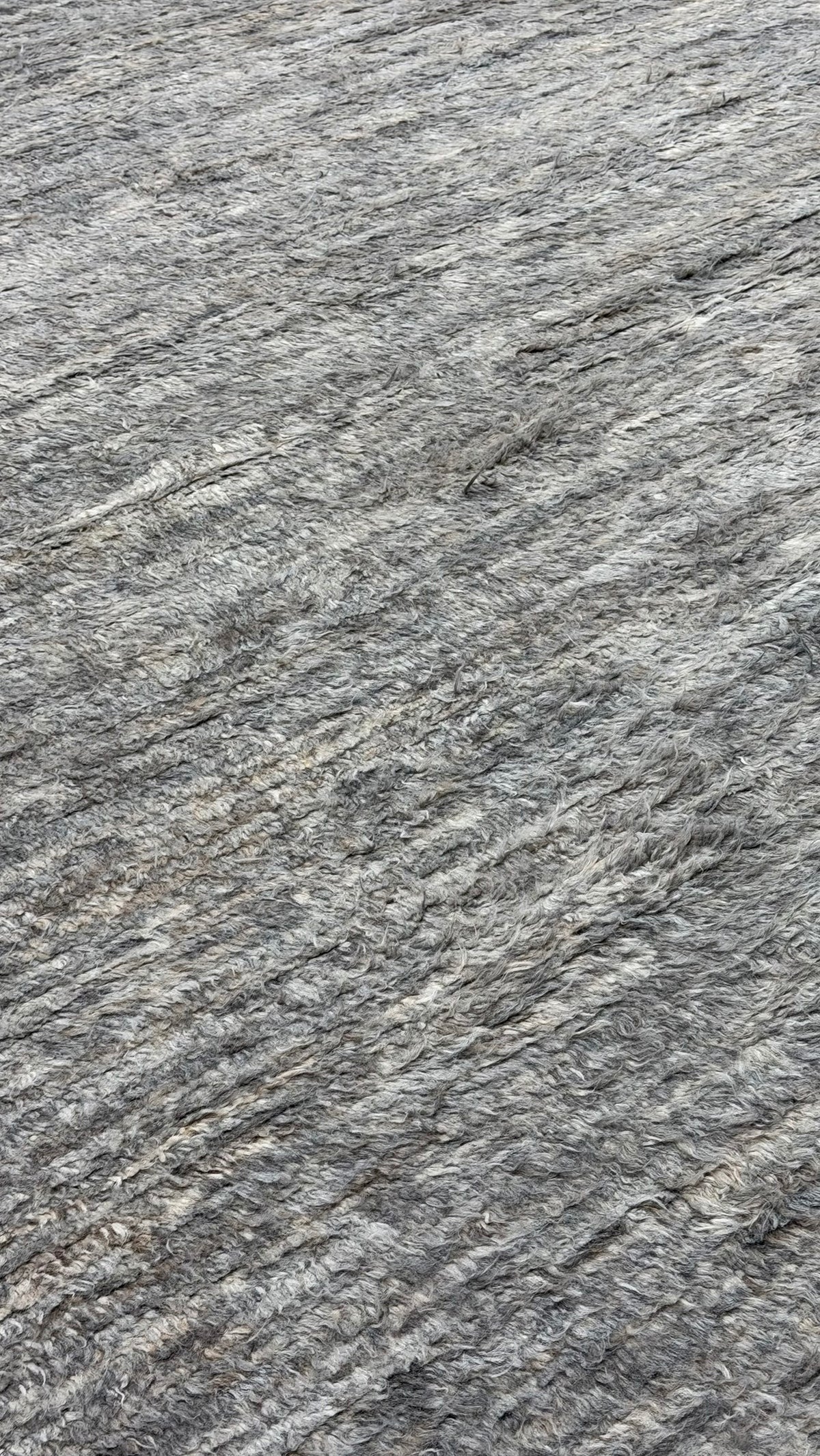 Gregale, Haute Bohemian, Gray