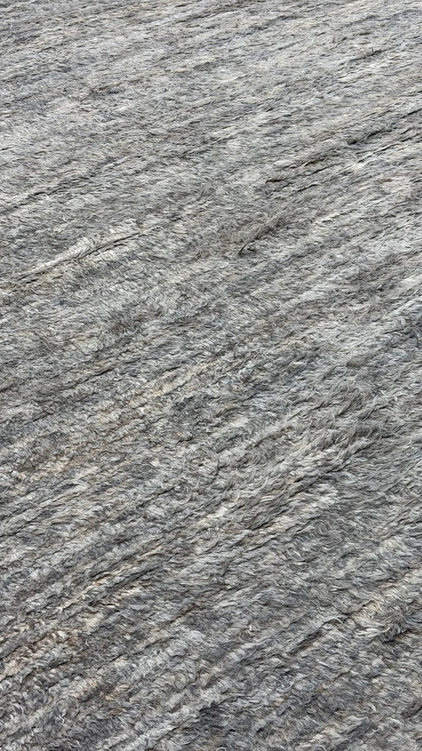 Gregale, Haute Bohemian, Gray
