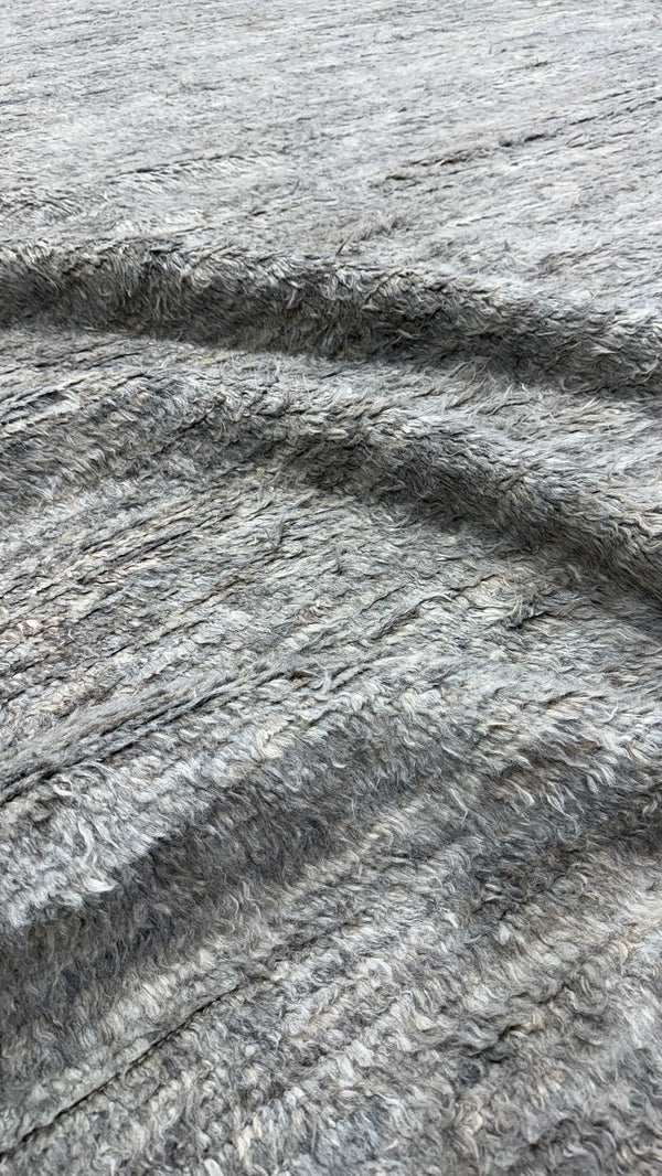 Gregale, Haute Bohemian, Gray
