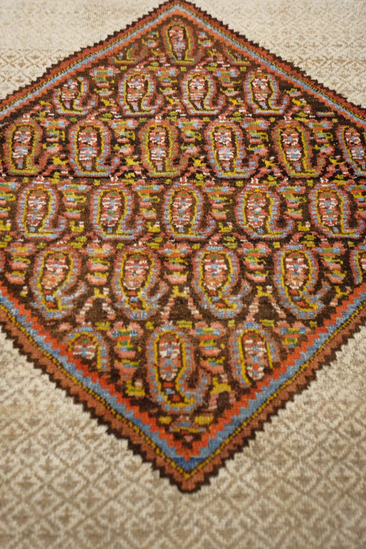 Antique Persian Malayer