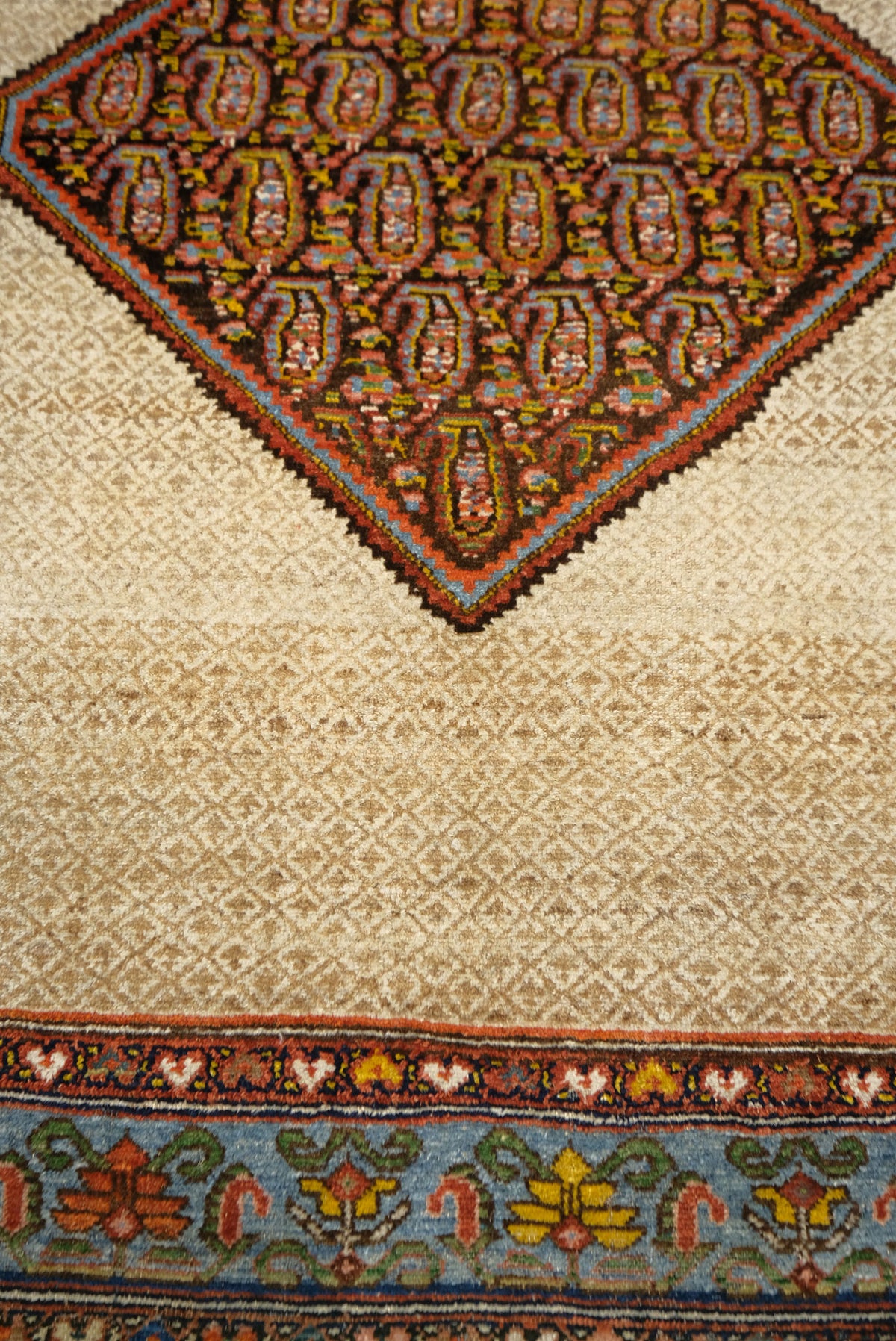 Antique Persian Malayer