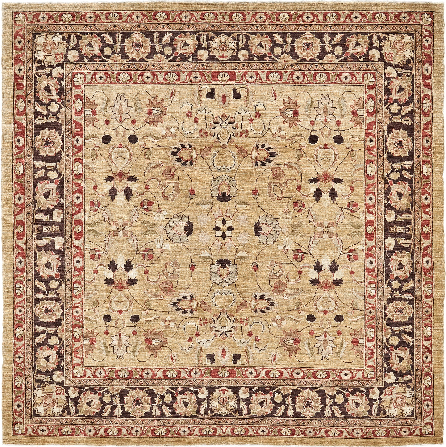 Natural Dye Sarouk Design Square Rug