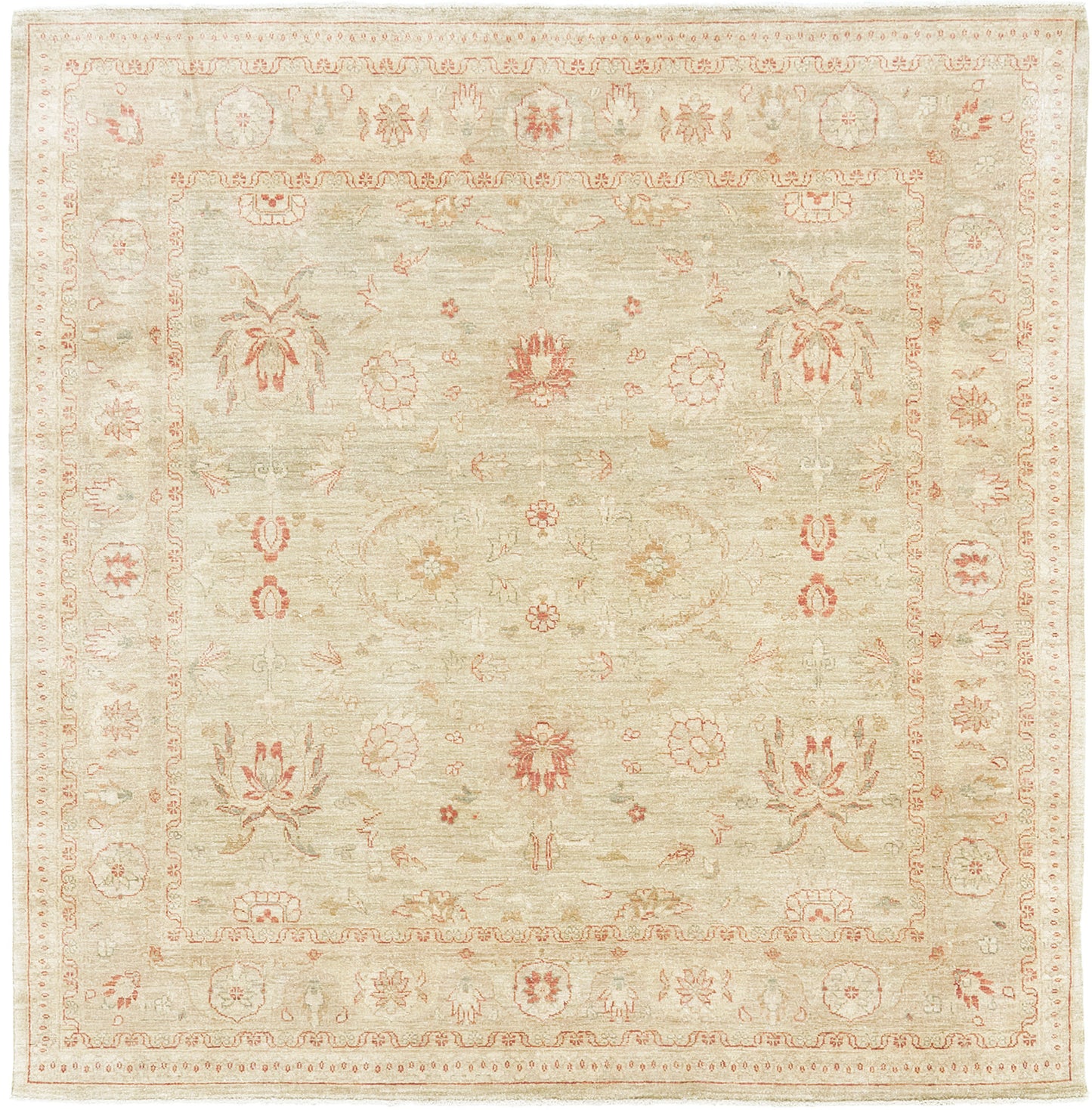 Natural Dye Sultanabad Style Rug Divine Square Rug