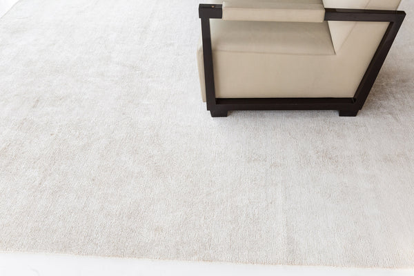 Modern Rug Image 10585 Solid Design Bamboo Silk Rug Dara