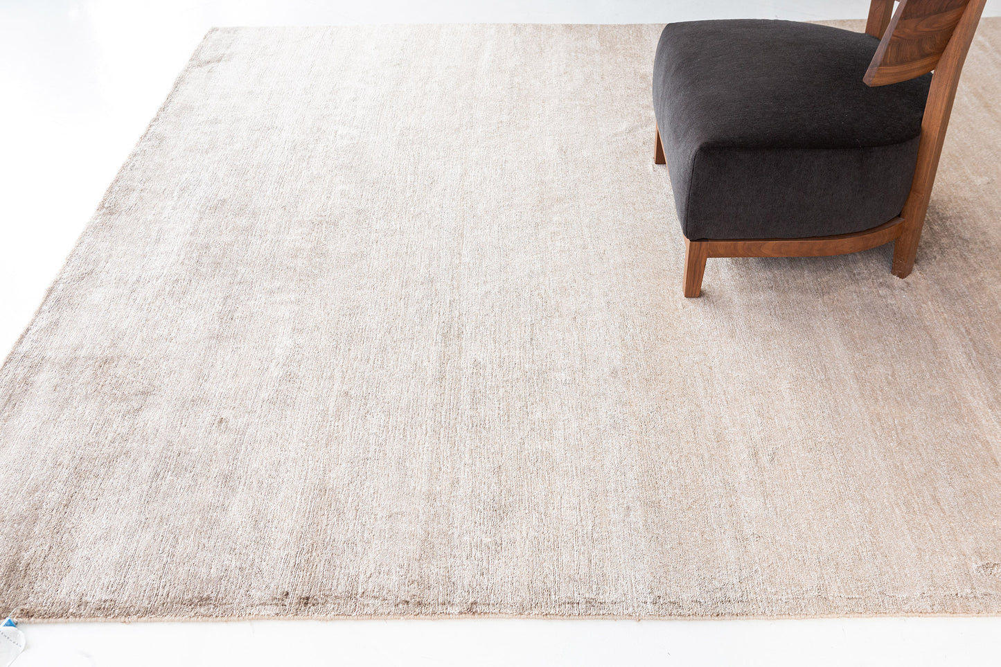 Modern Rug Image 10663 Solid Design Bamboo Silk Rug Dara