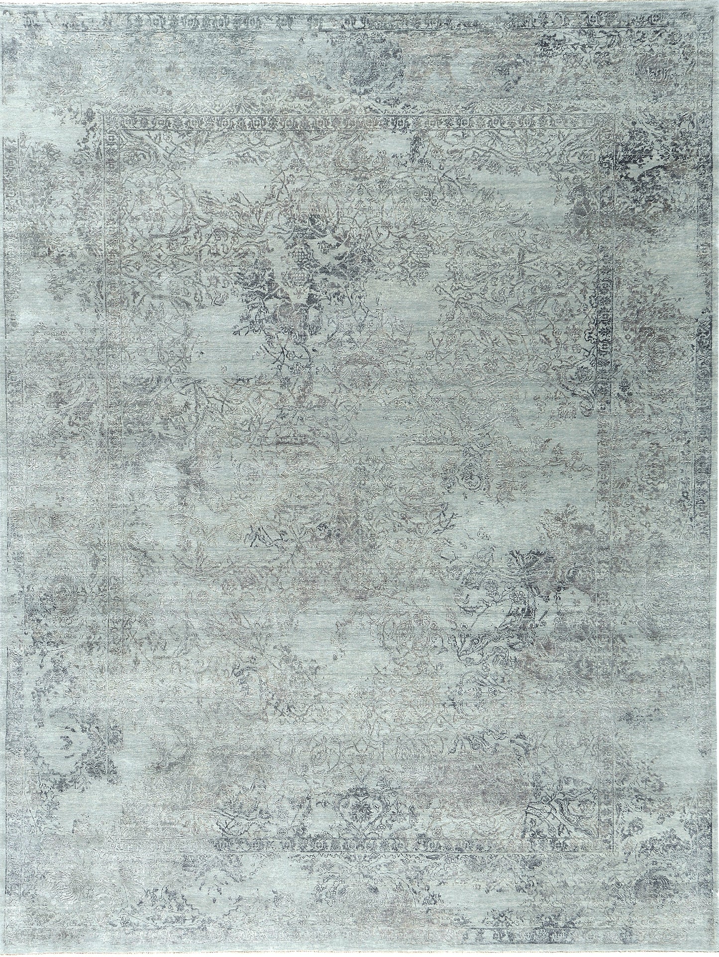 Transitional Design Allure Rug Renato