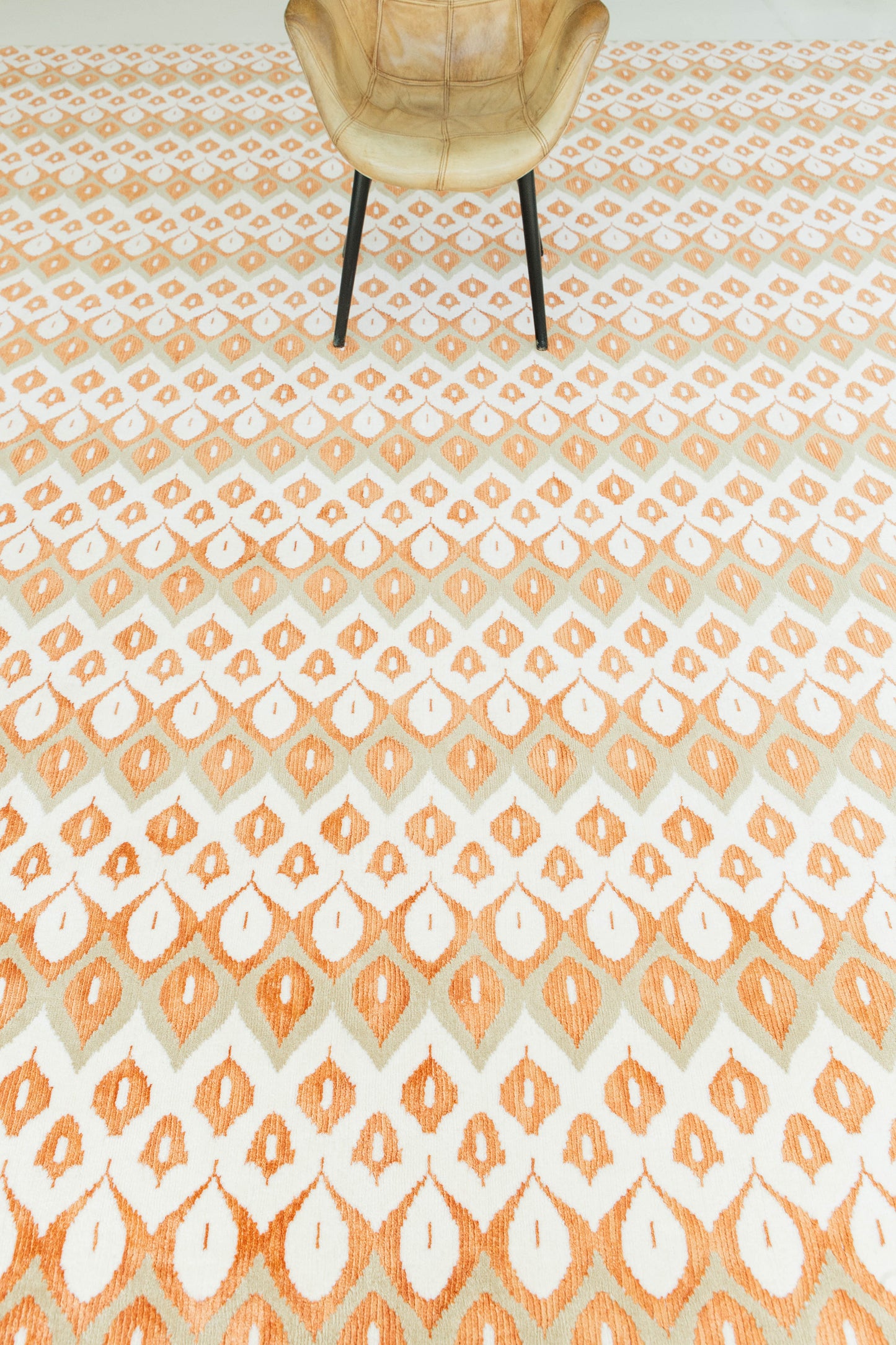 Transitional Design Rug M Collection Candela