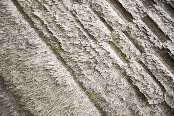 Modern Rug Image 10156 Sirocco, Haute Bohemian