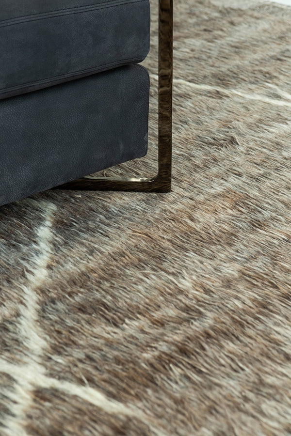 Modern Rug Image 4620 Gilavar, Haute Bohemian