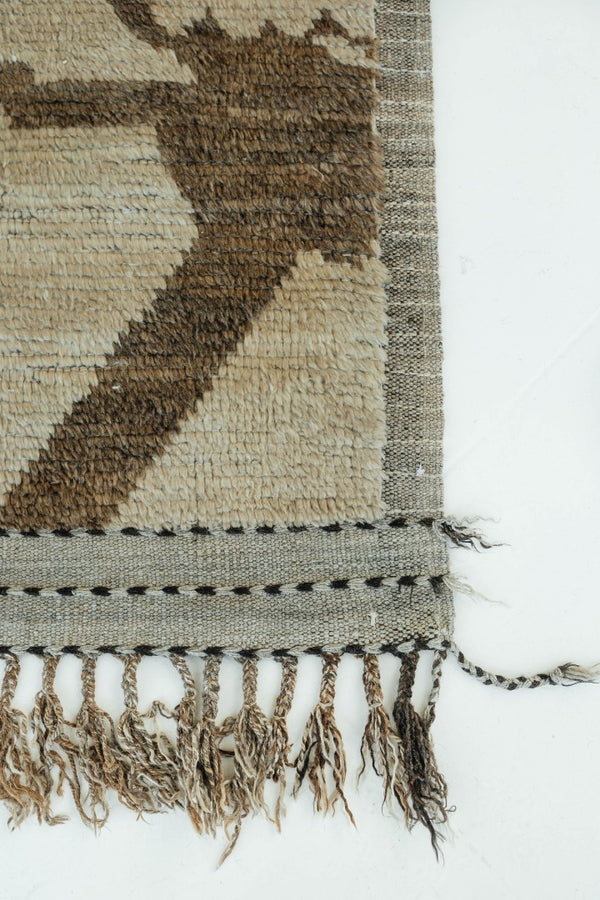 Modern Rug Image 2978 Esparto, Atlas Collection, Seasons