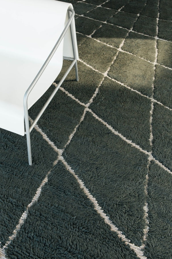 Modern Rug Image 13829 Walk this Way by Liesel Plambeck