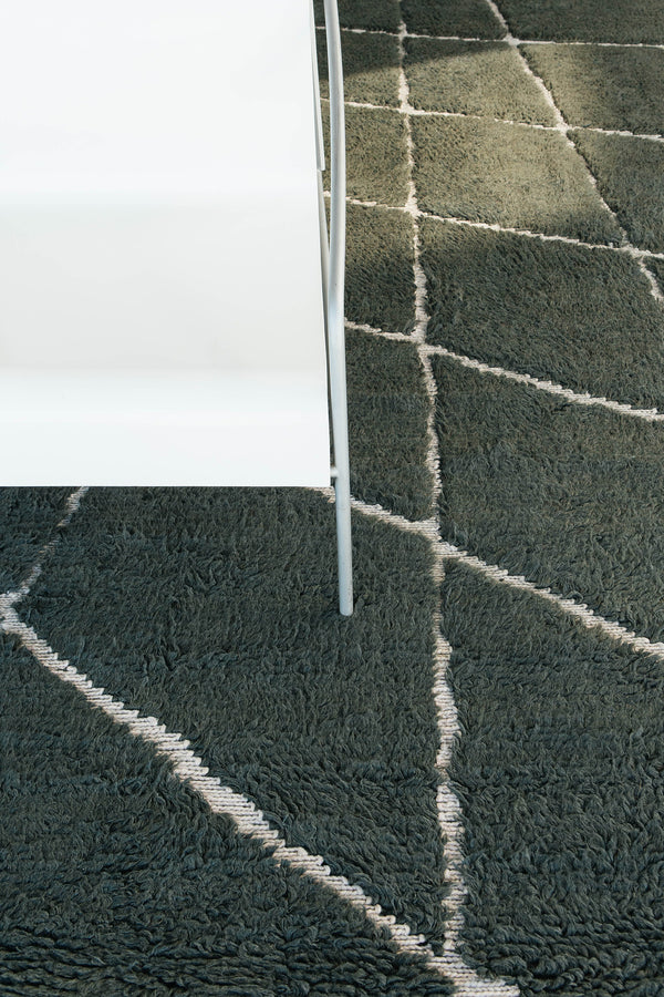 Modern Rug Image 13832 Walk this Way by Liesel Plambeck