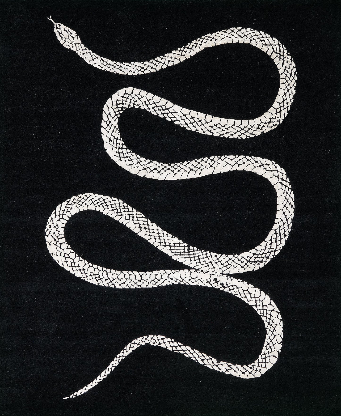 Modern Rug Image 13995 Year of the Snake by Liesel Plambeck